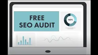 Free SEO audit