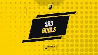 SRD-FCC Basel 1-0