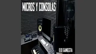 Micros y Consolas
