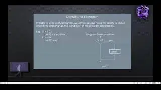 PYTHON  IF ELSE | Hacodev