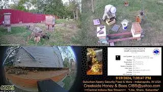 Hive check, pack and load.