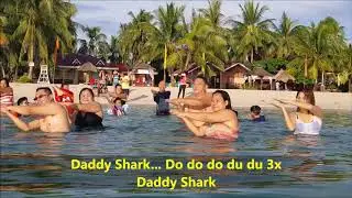 Dancing Sharks in Bantayan Island Cebu
