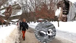 Unbelievable Wildlife Sightings in Springbank Park - An Urban Park in London, Ontario!