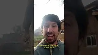 Revoque fino a la cal para paredes de barro. #bioconstrucci&oacute;n