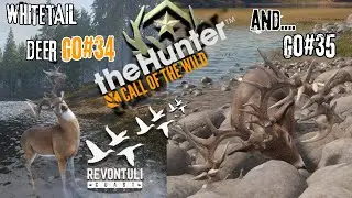 WhiteTail Deer GO#34 and GO#35! Revontuli Coast!! TheHunter Call Of The Wild!!