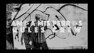 AMO A MIS PERROS / ONE SEVEN X JOE WEED /RULESCREW