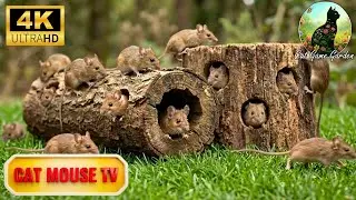 Cat TV Mouse Hunting 🐭 | Cats Can&rsquo;t Look Away 👀🐱 Realistic Mouse Chase in Leaf Maze 4K