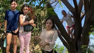 ENCONTRAMOS ESTA DELICIA EN LA MONTAÑA ⛰️ 😱