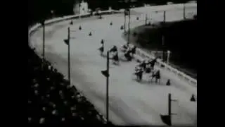 Harness Racing,Harold Park-01/02/1974 (King Frost-I.Mutton)