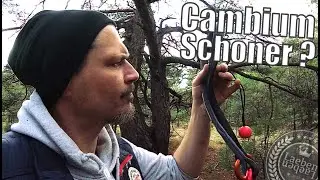 Baumklettern / Cambiumschoner - Einbau & Ausbau / Kletterserie 09