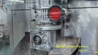 Screw Potato Washing and Peeling Machine