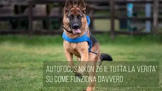 Autofocus Nikon Z6 II: tutta la verit&agrave; su come funziona davvero.