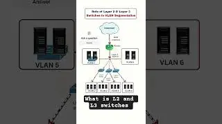 What is L2 and L3 Switches #networking #aci #linux #windows #datacenter