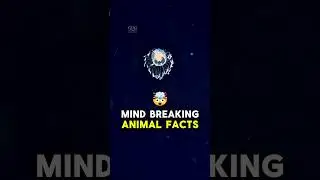 SUPERHUMAN ABILITIES😱😱 #shorts #animals #superhuman