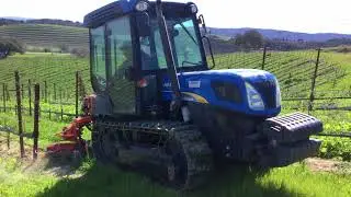 Ask SHAS about in-row mechanical cultivation..&ldquo;it&rsquo;s all about the dirt...&rdquo;