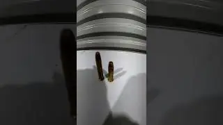 22 WMR VS 22LR