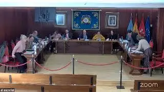 26-03-2025 - SESIÓN PLENARIA EXTRAORDINARIA -  AYUNTAMIENTO DE EL  ESCORIAL