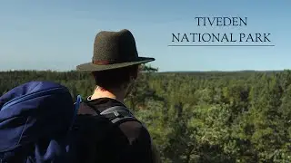 Hiking in Sweden | Tiveden National Park