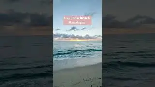 Escape the winter blues in The Palm Beaches  #thepalmbeaches #bluewater 🎥 @palmbeachesfl