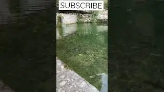 #shorts #albania #subscribe #adventure #dajt