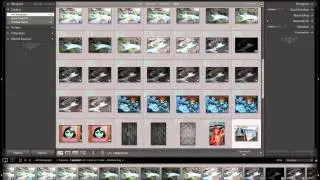 Lightroom 4 Importing bulk images 6