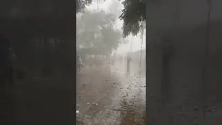 Mt abu Rajasthan #shorts #viralvideo #viralshorts #short #india