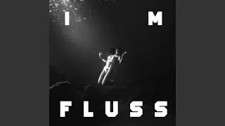 Im Fluss
