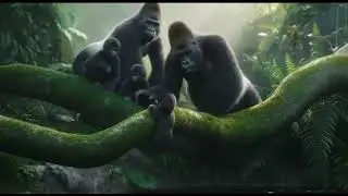 #adorableanimals #petvideos#pets #petsoftheday #wildlife #wildlifevideos #wildlifephotography  #zoo