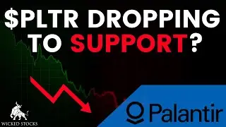 Palantir Stock Drops &mdash; Buy the Dip or More Downside?