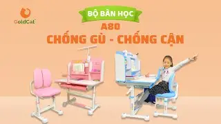 Bộ B&agrave;n Học Cho B&eacute; A80 GoldCat