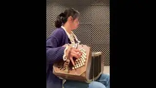 Brilliant #BANDONEON performance 현란한 반도네온 연주 (#피아졸라 -데카리시모) #shorts #piazzolla