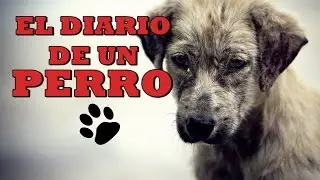 El diario de un Perro 2016
