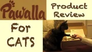 Pawalla for CATS: Product Review