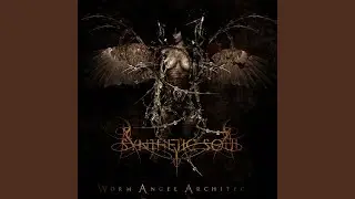 9 Dissonance