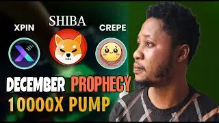XPIN, CREPE, SHIBA INU DECEMBER PROPHECY CONFIRMATIONS