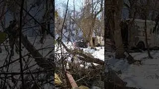Assassin ( sniped by a bush sniper ❗️❗️) #viral #youtubeshorts #gaming #shorts #callofduty