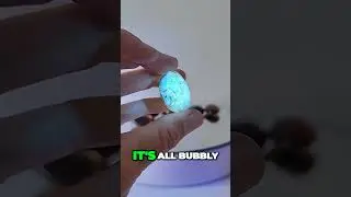 💎How does Amber look Under the UV Light?🔦🌟