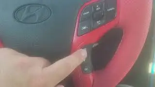 Dash design Dash cover and texas custom interior. Steering wheel cover.