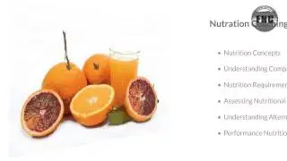 Career Training in Sports Nutrition