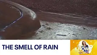 Did You Know?: All about the smell of rain | FOX 7 Austin