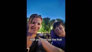 #mindfulmoments #shiftyourreality