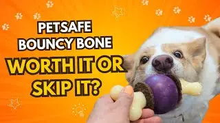 PetSafe Busy Buddy Bouncy Bone Review 🦴 | The Ultimate Treat-Holding Dog Toy?