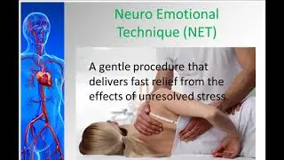 Chiropractors - Neuro Emotional Technique