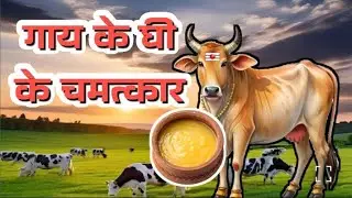 💯% गाय के घी के चमत्कार l गाय के घी के फायदे l  Dr. Y Rakhi Astrologer l B16l