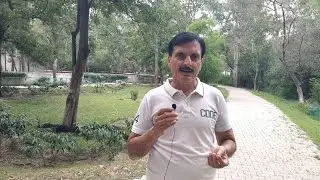 LUDHIANA ZOO / TIGER SAFARI # Tiger Safari # Zoo # Forest Life # Searchable
