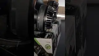 Picked Up A Pair Of Timpano DH2000 Compression Horns