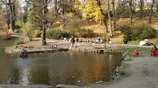 Xiaomi Redmi Note 6 Pro Camera Test Video #1