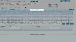 Manual Payment Posting