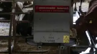 JH Agro A/S Straw Dispenser in Cow Barn