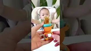 No More Choking Worries &ndash; Fruit Feeder Pacifier for Babie